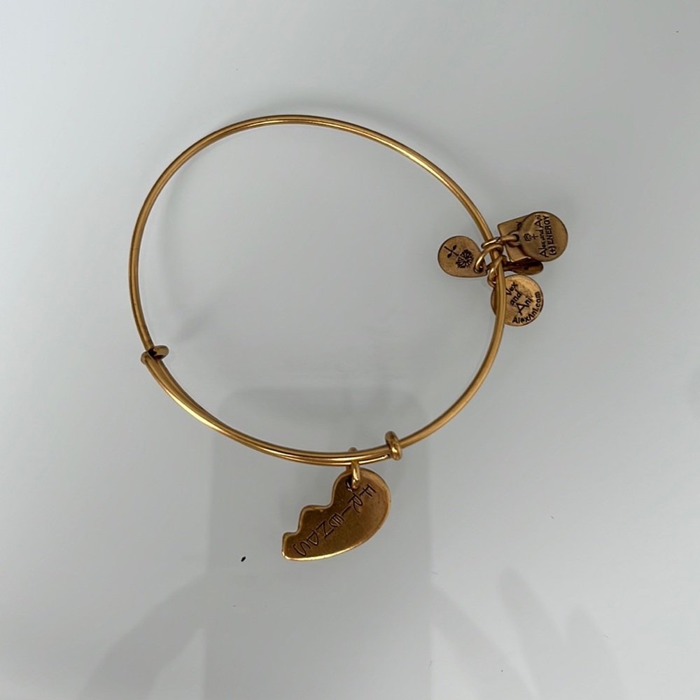 Alex and Ani 1/2 of the friends bracelet